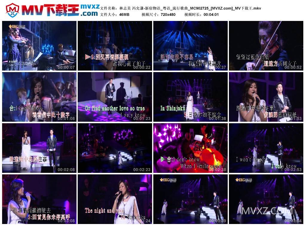 林志美 冯允谦-新宿物语_粤语_流行歌曲_MC902725